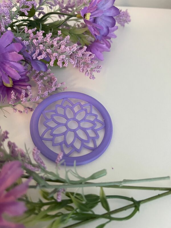 lid insert for ball jar pretty colorful