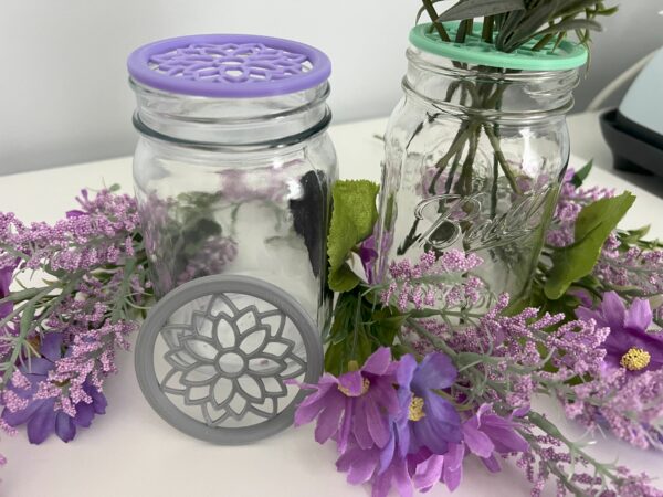 jar lid insert for propogating with holes